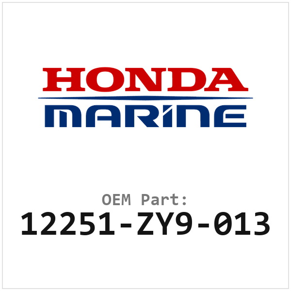 Honda Pakking (12251-ZY9-013)