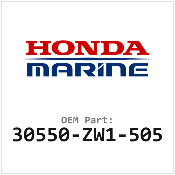 30550-ZW1-505