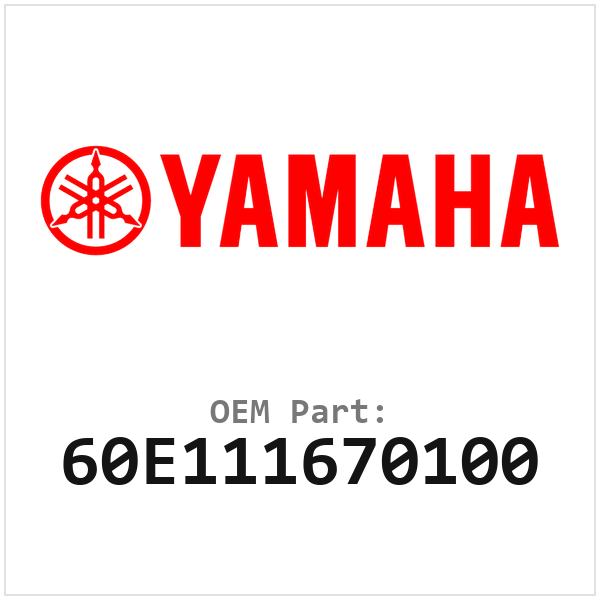 60E111670100