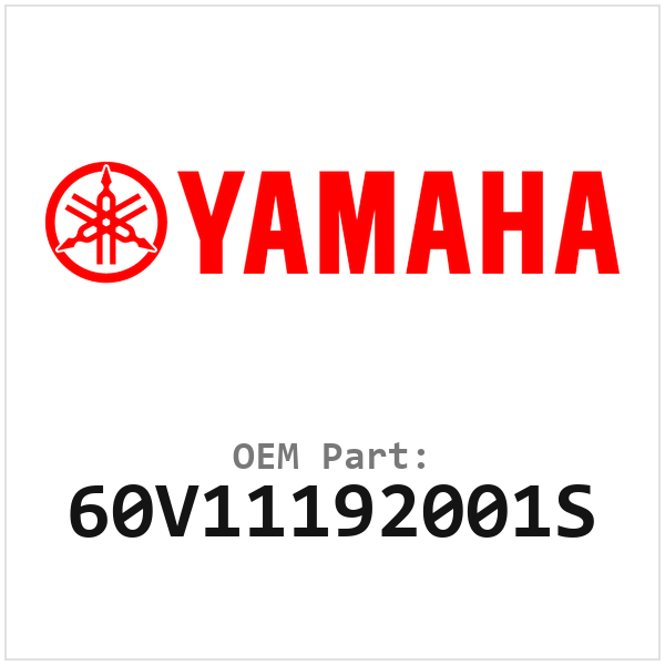60V11192001S