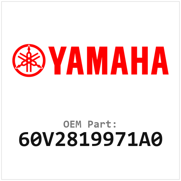 60V2819971A0