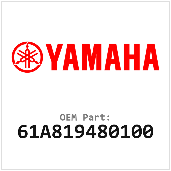 61A819480100