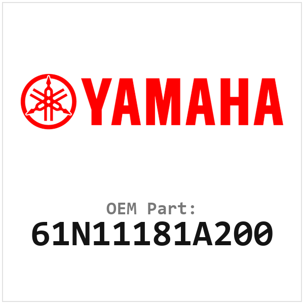 61N11181A200