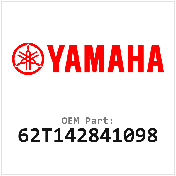 62T142841098