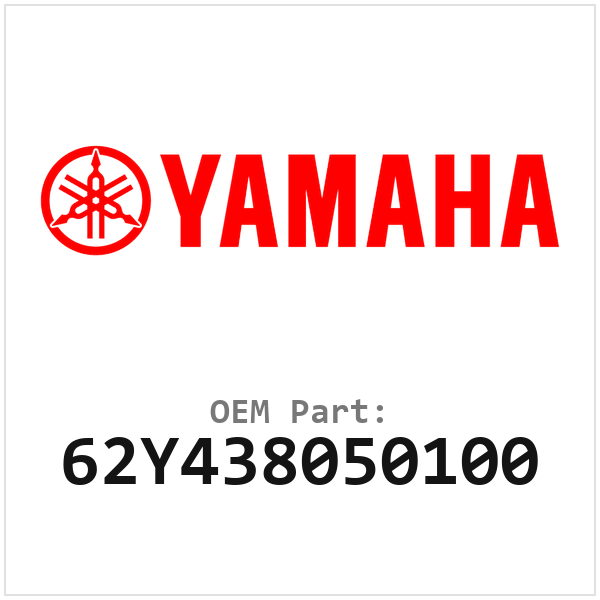 62Y438050100