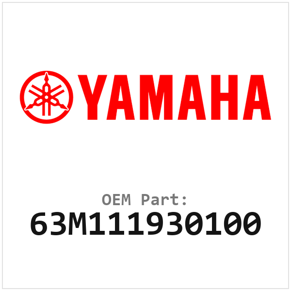 63M111930100