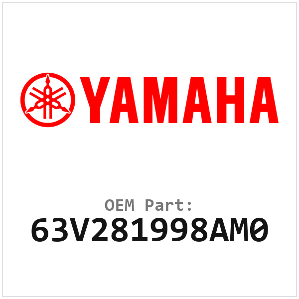 63V281998AM0