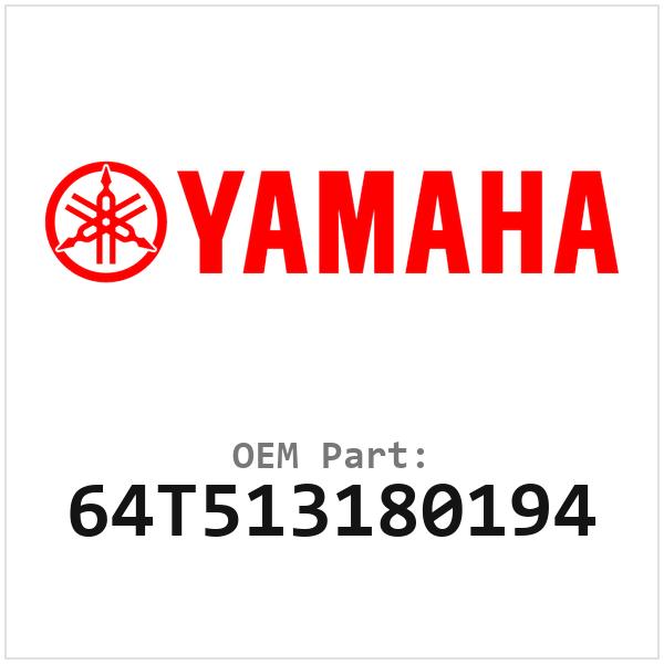 64T513180194