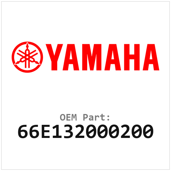 66E132000200