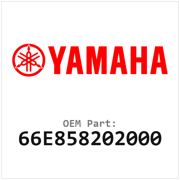 66E858202000