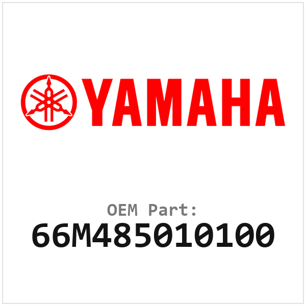 66M485010100