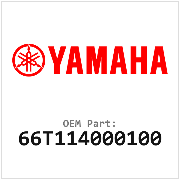 66T114000100