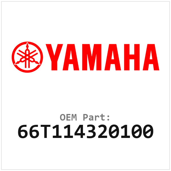 66T114320100