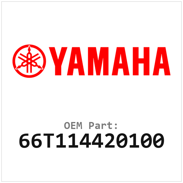 66T114420100