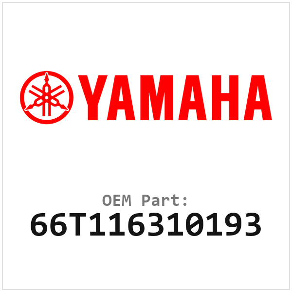 66T116310193
