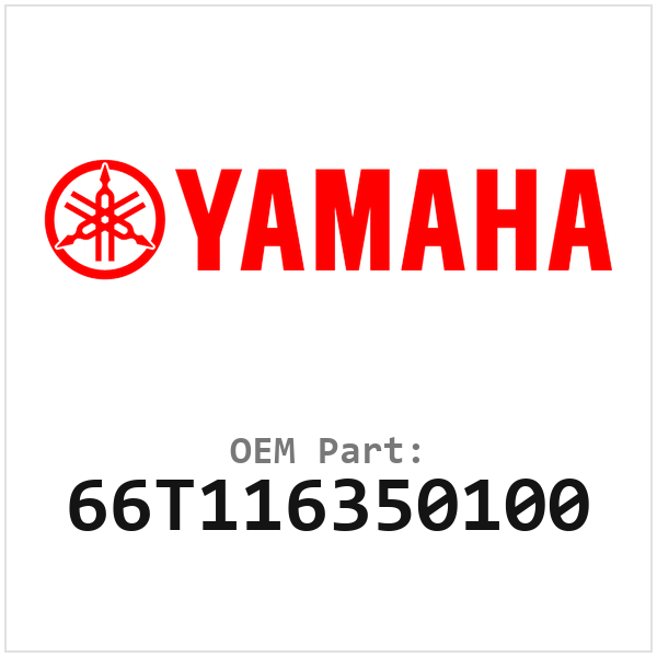 66T116350100