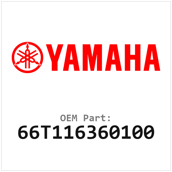 66T116360100