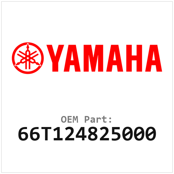 66T124825000