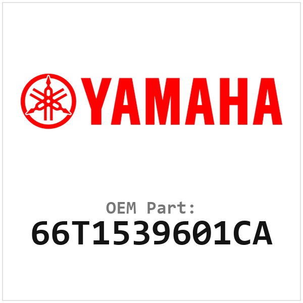 66T1539601CA