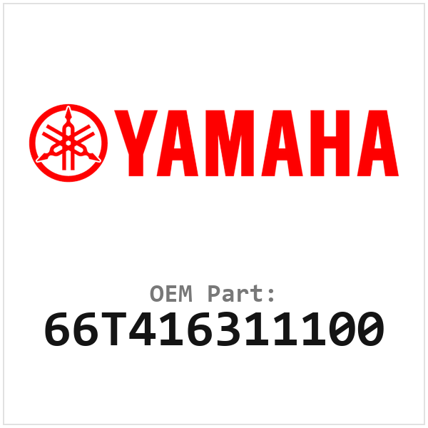66T416311100