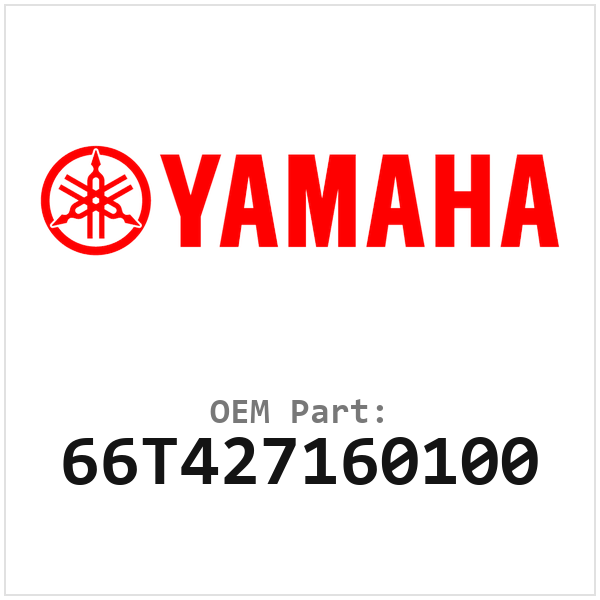 66T427160100
