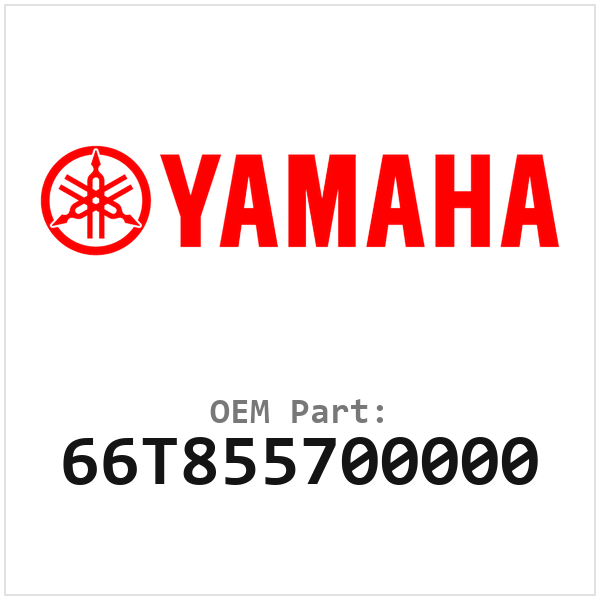 66T855700000