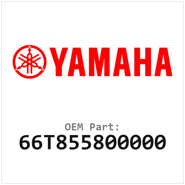 66T855800000