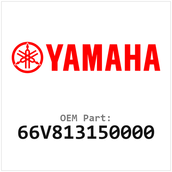 66V813150000
