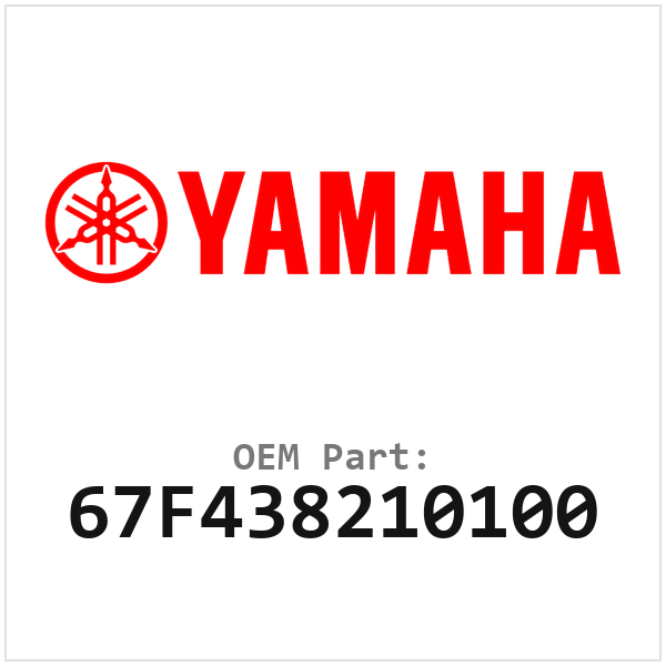67F438210100