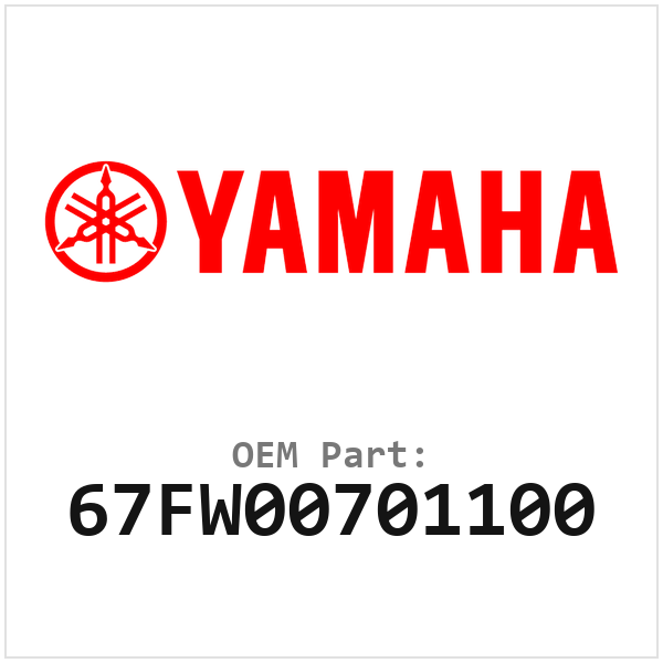 67FW00701100