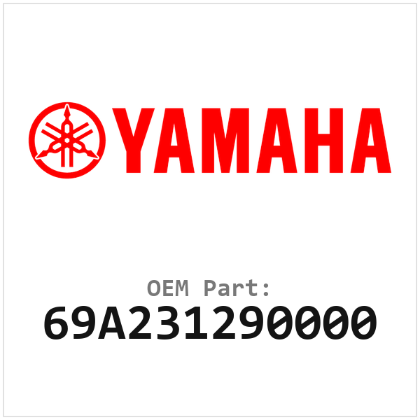 69A231290000