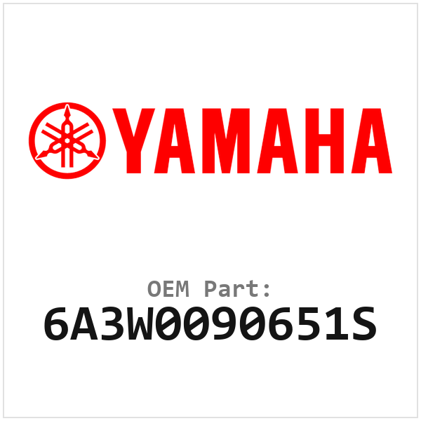 6A3W0090651S