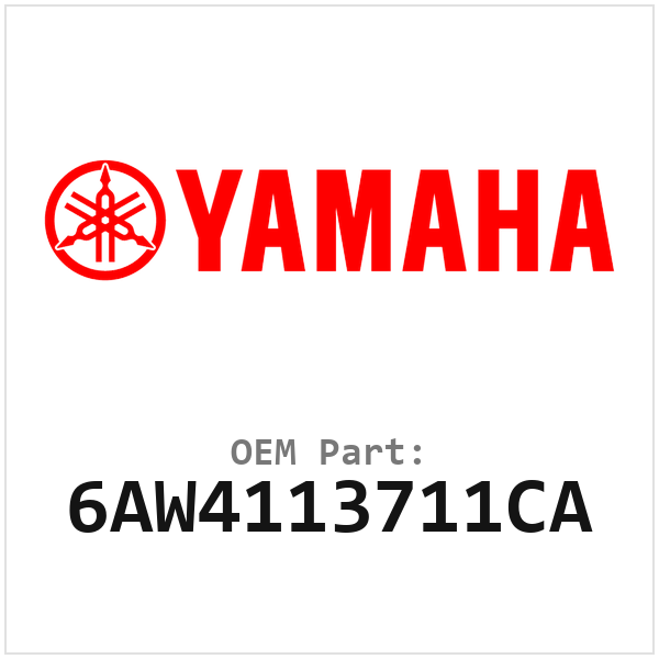6AW4113711CA