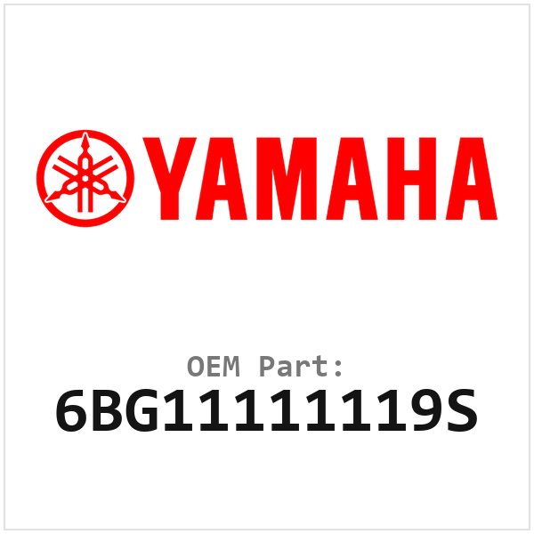 6BG11111119S