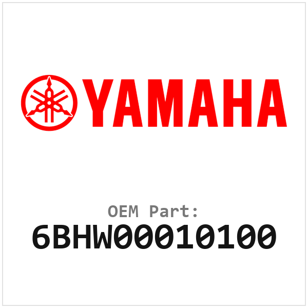 6BHW00010100