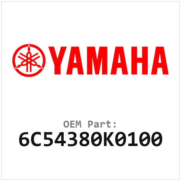 6C54380K0100