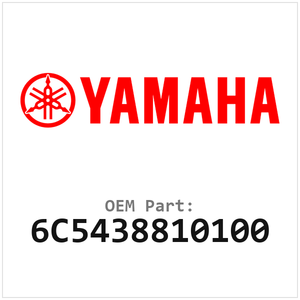 6C5438810100