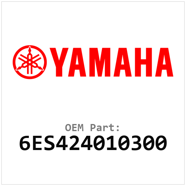 Yamaha OEM 6ES424010300