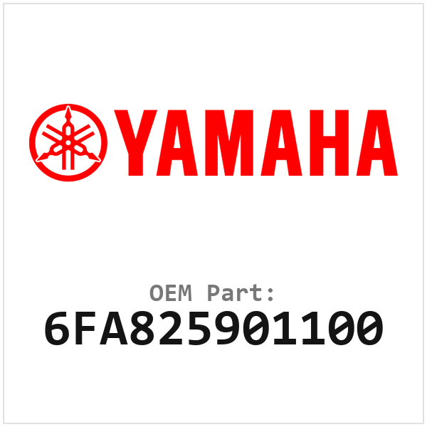 6FA825901100