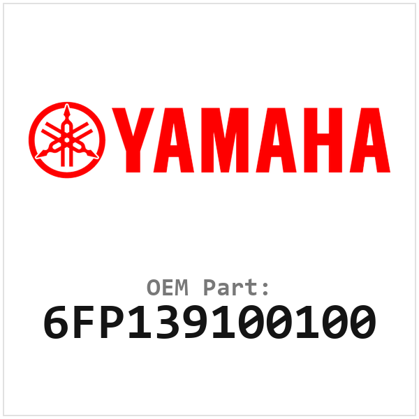 6FP139100100