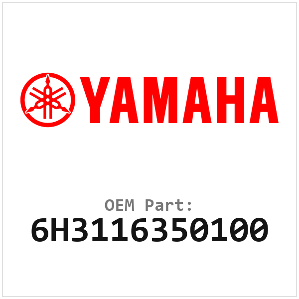 6H3116350100
