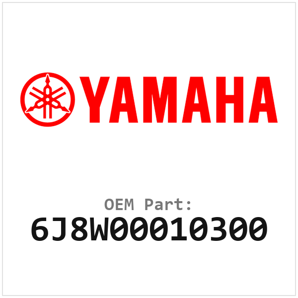 6J8W00010300