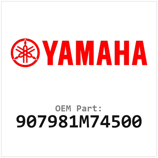 907981M74500