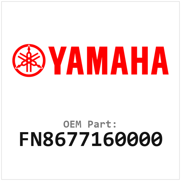 FN8677160000