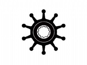 00320245