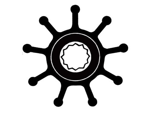 00320261