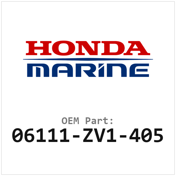 06111-ZV1-405