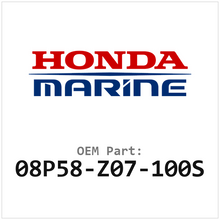 08P58-Z07-100S