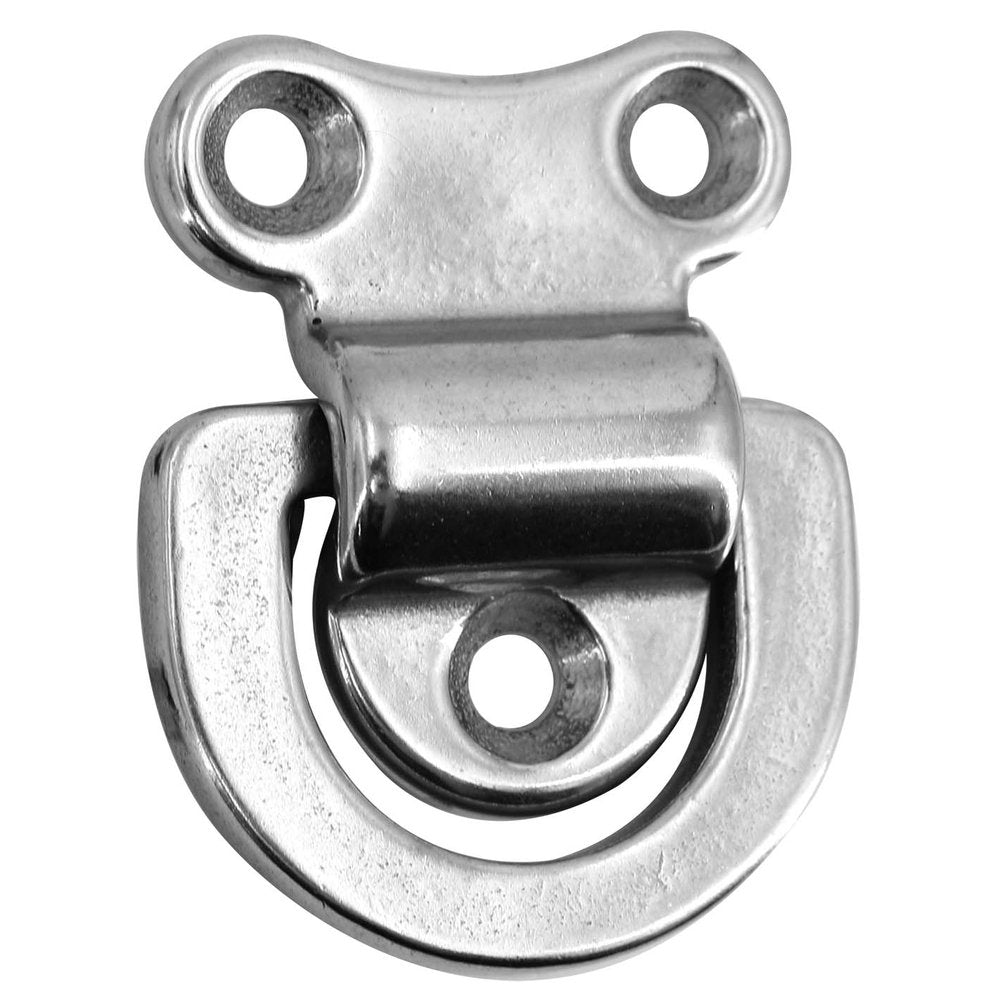 Hollex dekoog neerklapbaar 55x63mm rvs316 (115102601)