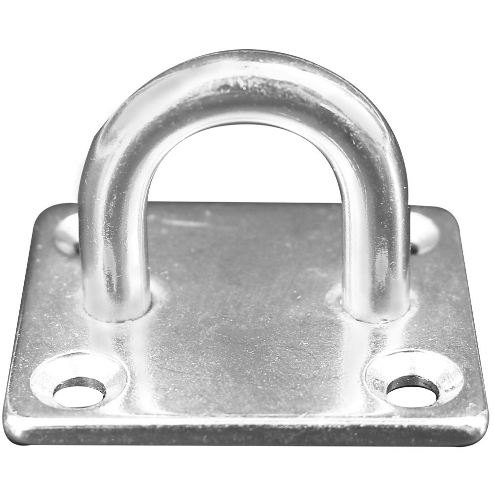 Hollex dekoog met voetplaat 40x50mm rvs316 (115102716)